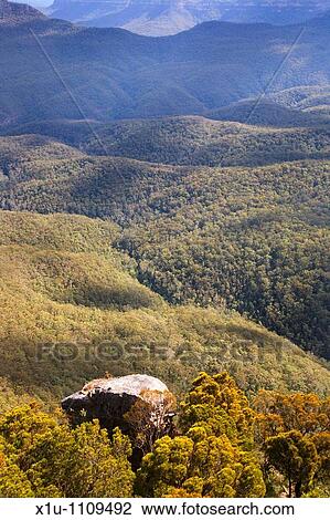 Jamison Valley from Sublime Point Lookout Leura Blue Mountains New South Wales Australia View Large Photo Image Stock Image - Jamison Valley from Sublime Point Lookout Leura Blue Mountains New South Wales Australia. Fotosearch
