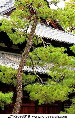 Japan, Kyoto, Daitokuji Temple, garden,. View Large Photo Image Stock Photo - Japan, Kyoto, Daitokuji Temple, garden,.. Fotosearch