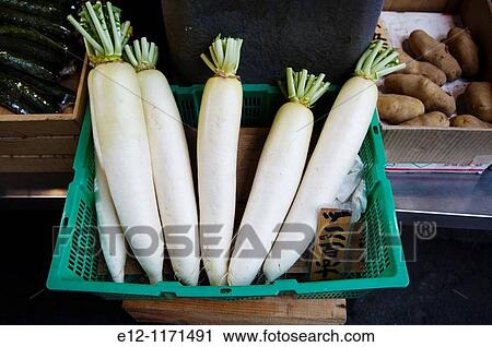 Japan, Kyoto, Nishiki market, radishes. View Large Photo Image Stock Image - Japan, Kyoto, Nishiki market, radishes.. Fotosearch