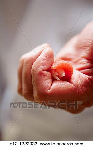 Stock Photo - Japan, Tokyo, Takashi Sa? to, sushi master, in his 6 places restaurant.. Fotosearch