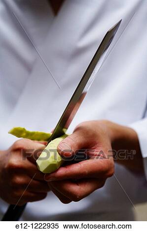 Japan, Tokyo, Takashi Sa? to, sushi master, in his 6 places restaurant, wasabi. View Large Photo Image Stock Photography - Japan, Tokyo, Takashi Sa? to, sushi master, in his 6 places restaurant, wasabi.. Fotosearch