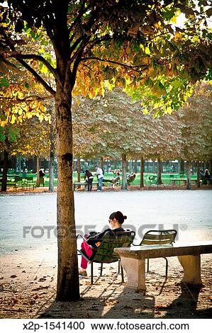Jardin des Tuileries between the Louvre and place de la Concorde, Paris, France Opened to the public in the 16th century View Large Photo Image Stock Image - Jardin des Tuileries between the Louvre and place de la Concorde, Paris, France Opened to the public in the 16th century. Fotosearch