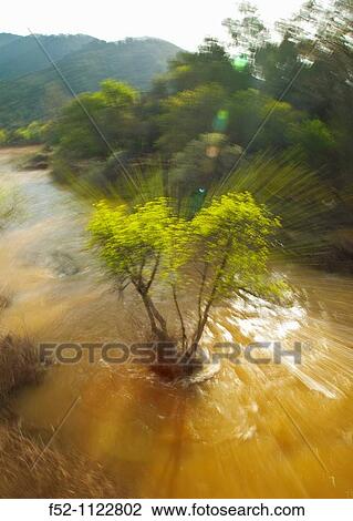 JBndula River, Sierra de Andjar Natural Park, Jaen province, Andalusia, Spain View Large Photo Image Stock Image - JBndula River, Sierra de Andjar Natural Park, Jaen province, Andalusia, Spain. Fotosearch