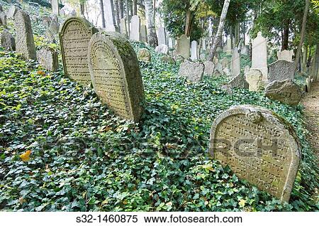 Jewish cemetery in Trebic, World Cultural and Natural Heritage of UNESCO, Moravia, Czech Republic View Large Photo Image Stock Photography - Jewish cemetery in Trebic, World Cultural and Natural Heritage of UNESCO, Moravia, Czech Republic. Fotosearch