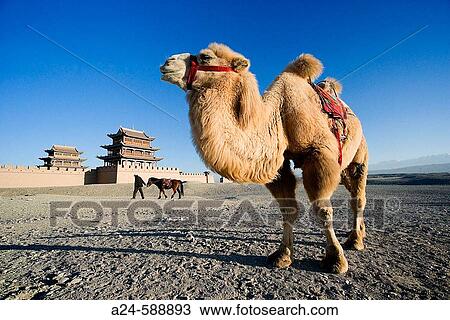 Stock Image - Jiayuguan City. Jiayu Pass Fort (W. H. ). Gobi Desert. Gansu Province. The Silk Road. China. Nov. 2006. Fotosearch
