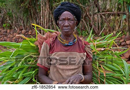 Picture - Jinka Ethiopia Africa village Konso tribe in Lower Omo Valley old woman carrying load of branches for hut 13. Fotosearch