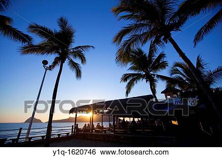 Joes Oyster Bar, Golden Zone, Mazatlan, Sinaloa, Mexico View Large Photo Image Stock Photograph - Joes Oyster Bar, Golden Zone, Mazatlan, Sinaloa, Mexico. Fotosearch