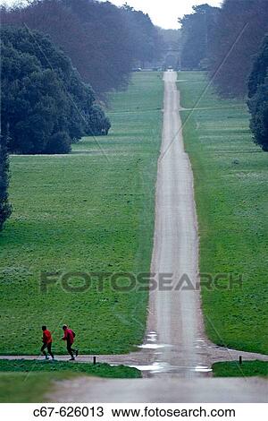 Joggers. Holkham Park. North Norfolk. UK View Large Photo Image Stock Image - Joggers. Holkham Park. North Norfolk. UK. Fotosearch
