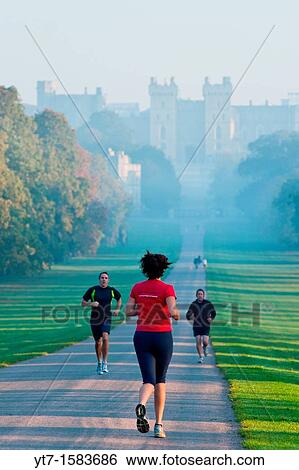 Joggers in early morning in Windsor Great Park, with the castle in the distant mist UK View Large Photo Image Stock Photograph - Joggers in early morning in Windsor Great Park, with the castle in the distant mist UK. Fotosearch