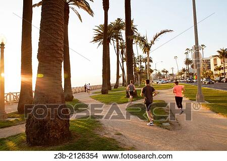 Joggers run through Palisades Park in the late afternoon sun, Santa Monica, City of Los Angeles, California, USA. View Large Photo Image Picture - Joggers run through Palisades Park in the late afternoon sun, Santa Monica, City of Los Angeles, California, USA.. Fotosearch