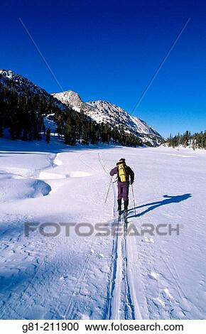 John Muir Wilderness. Skier crossing a snowy meadow in the Little Lakes Valley. Inyo National Forest. California. USA View Large Photo Image Stock Image - John Muir Wilderness. Skier crossing a snowy meadow in the Little Lakes Valley. Inyo National Forest. California. USA. Fotosearch