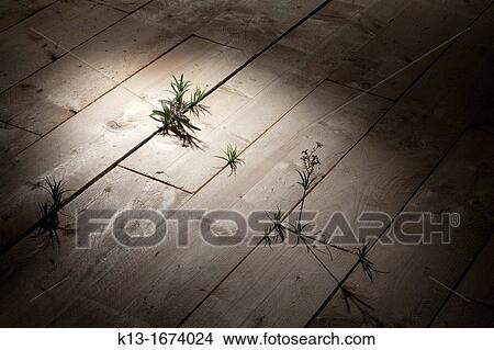 Picture - Jorge Perianes exhibition Matadero Madrid Cultural centre Madrid Spain. Fotosearch