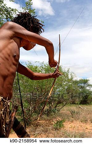Picture - Ju/? hoansi San hunter aiming on his target with his arrow, Namibia, Africa.. Fotosearch