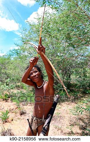 Ju/? hoansi San hunter aiming on his target with his arrow, Namibia, Africa. View Large Photo Image Stock Photograph - Ju/? hoansi San hunter aiming on his target with his arrow, Namibia, Africa.. Fotosearch