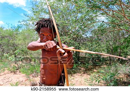 Ju/? hoansi San hunter aiming on his target with his arrow, Namibia, Africa. View Large Photo Image Stock Photography - Ju/? hoansi San hunter aiming on his target with his arrow, Namibia, Africa.. Fotosearch