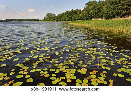 Jugla lake shore, Ethnographic Open-Air Museum around Riga, Latvia, Baltic region, Northern Europe. View Large Photo Image Stock Image - Jugla lake shore, Ethnographic Open-Air Museum around Riga, Latvia, Baltic region, Northern Europe.. Fotosearch