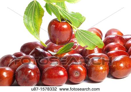Jujube Ziziphus jujuba View Large Photo Image Stock Image - Jujube Ziziphus jujuba. Fotosearch