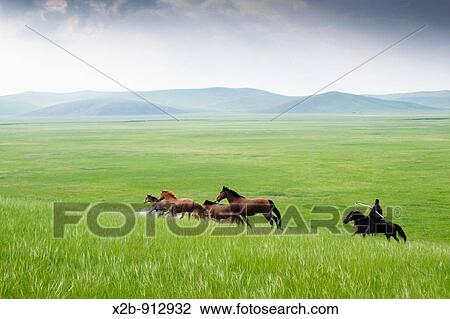 July 2009, Hulunbeir landscape in China's Inner Mongolia Grassland View Large Photo Image Stock Image - July 2009, Hulunbeir landscape in China's Inner Mongolia Grassland. Fotosearch