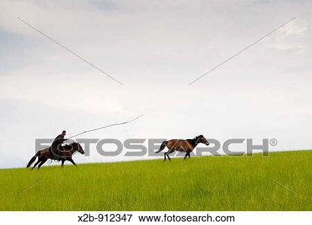 Stock Photo - July 2009, Hulunbeir landscape in China's Inner Mongolia Grassland. Fotosearch
