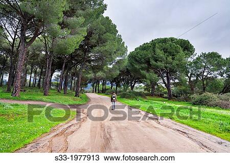 Juntas road in La Adrada. Avila. Castilla Leon. Spain. View Large Photo Image Stock Image - Juntas road in La Adrada. Avila. Castilla Leon. Spain.. Fotosearch