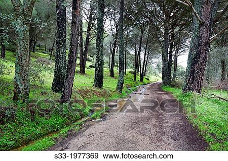 Juntas road in La Adrada. Avila. Castilla Leon. Spain. View Large Photo Image Stock Photo - Juntas road in La Adrada. Avila. Castilla Leon. Spain.. Fotosearch