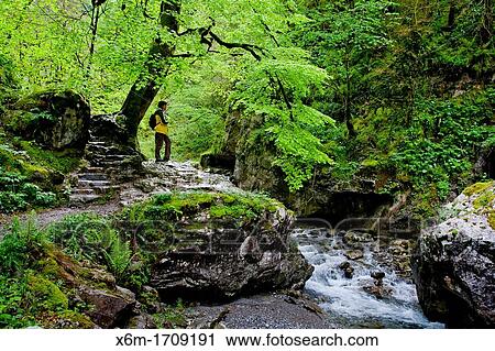 Kakueta gorges Sainte-Engrace Pyr? n? es-Atlantiques, France View Large Photo Image Stock Image - Kakueta gorges Sainte-Engrace Pyr? n? es-Atlantiques, France. Fotosearch