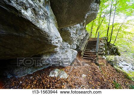 Kamacnik preserved park near Vrbovsko in Croatia View Large Photo Image Picture - Kamacnik preserved park near Vrbovsko in Croatia. Fotosearch