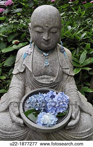 Kamakura, Kanagawa, Japan, Buddha statue at Meigetsu-in Temple View Large Photo Image Stock Photo - Kamakura, Kanagawa, Japan, Buddha statue at Meigetsu-in Temple. Fotosearch