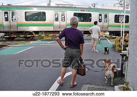 Kamakura, Kanagawa, Japan, two men and their dogs waiting by a grade crossing View Large Photo Image Stock Image - Kamakura, Kanagawa, Japan, two men and their dogs waiting by a grade crossing. Fotosearch