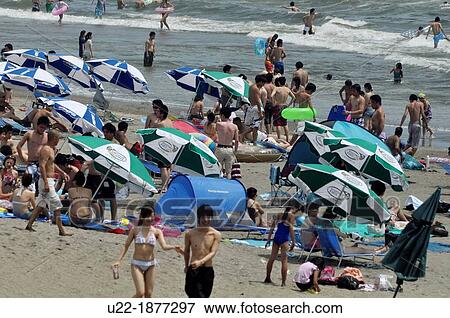 Kamakura, Kanagawa, Japan, Yuigahama Beach in summer View Large Photo Image Stock Photo - Kamakura, Kanagawa, Japan, Yuigahama Beach in summer. Fotosearch