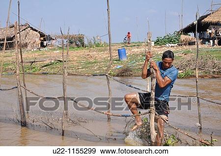 Kampong Khleang (Cambodia): farmer at work on the Tonle Sap lake View Large Photo Image Stock Photo - Kampong Khleang (Cambodia): farmer at work on the Tonle Sap lake. Fotosearch