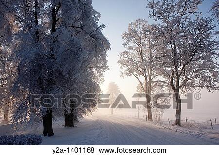 Karlslund in Orebro, Sweden View Large Photo Image Stock Photo - Karlslund in Orebro, Sweden. Fotosearch