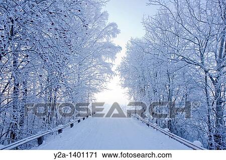 Karlslund winter way, Sweden View Large Photo Image Stock Image - Karlslund winter way, Sweden. Fotosearch
