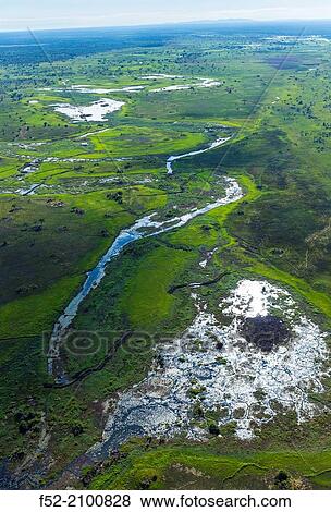 Kasanka National Park, Serenje, Provincia central, Zambia, Africa. View Large Photo Image Stock Photo - Kasanka National Park, Serenje, Provincia central, Zambia, Africa.. Fotosearch