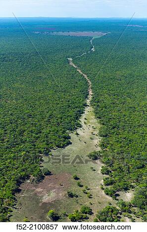 Stock Photo - Kasanka National Park, Serenje, Provincia central, Zambia, Africa.. Fotosearch