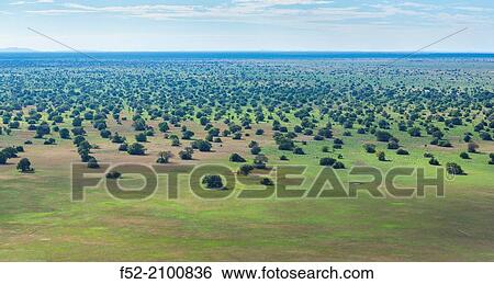 Stock Photograph - Kasanka National Park, Serenje, Provincia central, Zambia, Africa.. Fotosearch