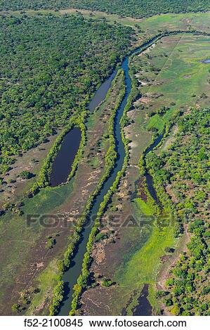 Kasanka National Park, Serenje, Provincia central, Zambia, Africa. View Large Photo Image Stock Photography - Kasanka National Park, Serenje, Provincia central, Zambia, Africa.. Fotosearch