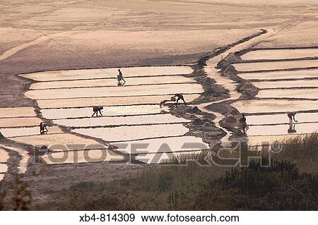 Kasenyi salt lake, Queen Elizabeth National Park, Uganda View Large Photo Image Stock Photo - Kasenyi salt lake, Queen Elizabeth National Park, Uganda. Fotosearch