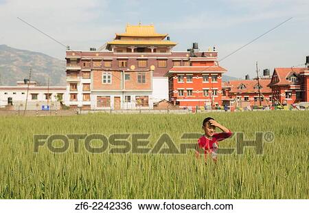 Kathmandu Nepal Nepali child in wheat field aged 6 at school in Nayapati Eastern Kathmandu 1. View Large Photo Image Stock Photograph - Kathmandu Nepal Nepali child in wheat field aged 6 at school in Nayapati Eastern Kathmandu 1.. Fotosearch