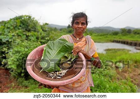 Katkari tribal woman showing fish in the basket, Maharashtra, India. View Large Photo Image Picture - Katkari tribal woman showing fish in the basket, Maharashtra, India.. Fotosearch