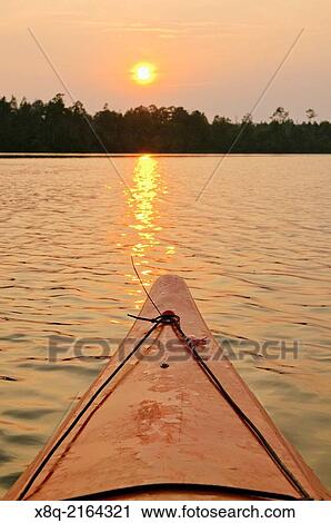 Stock Image - Kayaks on the Alligator River in eastern North Carolina, USA, part of the Alligator River National Wildlife Refuge.. Fotosearch