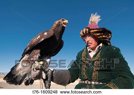 Stock Photo - Kazakh eagle hunter and his golden eagle in the Altai Region of Bayan-? lgii in Western Mongolia. Fotosearch