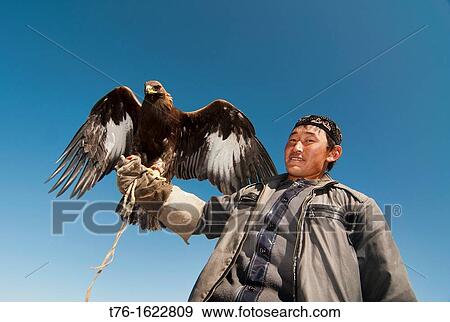 Stock Photo - Kazakh eagle hunter and his golden eagle in the Altai Region of Bayan-? lgii in Western Mongolia. Fotosearch