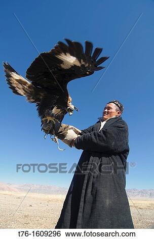 Stock Photograph - Kazakh eagle hunter and his golden eagle in the Altai Region of Bayan-? lgii in Western Mongolia. Fotosearch
