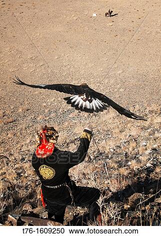 Kazakh eagle hunter sends out his golden eagle to fly in the Altai Region of Bayan-? lgii in Western Mongolia View Large Photo Image Stock Image - Kazakh eagle hunter sends out his golden eagle to fly in the Altai Region of Bayan-? lgii in Western Mongolia. Fotosearch