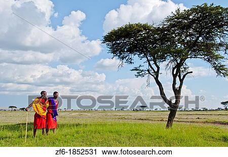 Stock Image - Kenya Masai Mara reserve with space and two Masai warriors and acacia tree and clouds in Masai Mara National Park in reserve 8. Fotosearch