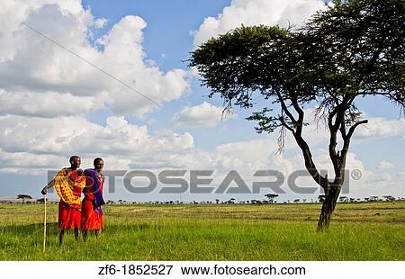 Kenya Masai Mara reserve with space and two Masai warriors and acacia tree and clouds in Masai Mara National Park in reserve 8 View Large Photo Image Stock Photo - Kenya Masai Mara reserve with space and two Masai warriors and acacia tree and clouds in Masai Mara National Park in reserve 8. Fotosearch