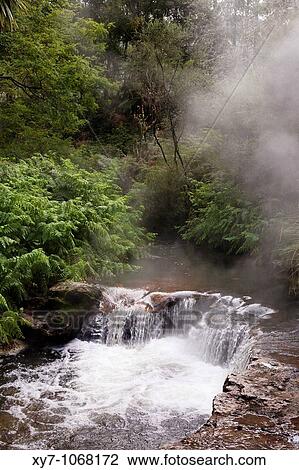 Kerosene Creek hot spring or thermal spring near Rotorua in New Zealand View Large Photo Image Stock Image - Kerosene Creek hot spring or thermal spring near Rotorua in New Zealand. Fotosearch