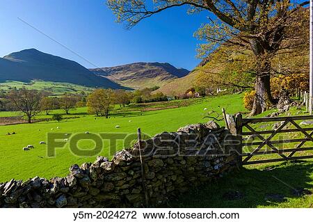 Keskedale Valley, Lake District National Park, Cumbria, England, UK, Europe. View Large Photo Image Stock Image - Keskedale Valley, Lake District National Park, Cumbria, England, UK, Europe.. Fotosearch