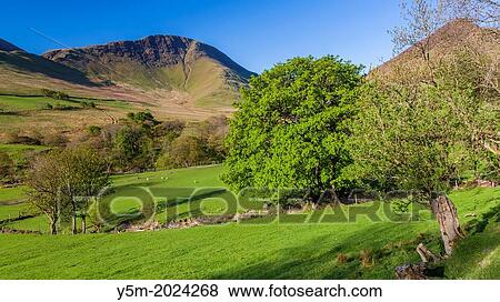 Keskedale Valley, Lake District National Park, Cumbria, England, UK, Europe. View Large Photo Image Stock Photo - Keskedale Valley, Lake District National Park, Cumbria, England, UK, Europe.. Fotosearch